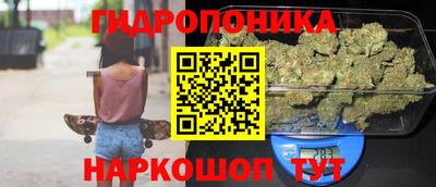 apvp Краснознаменск