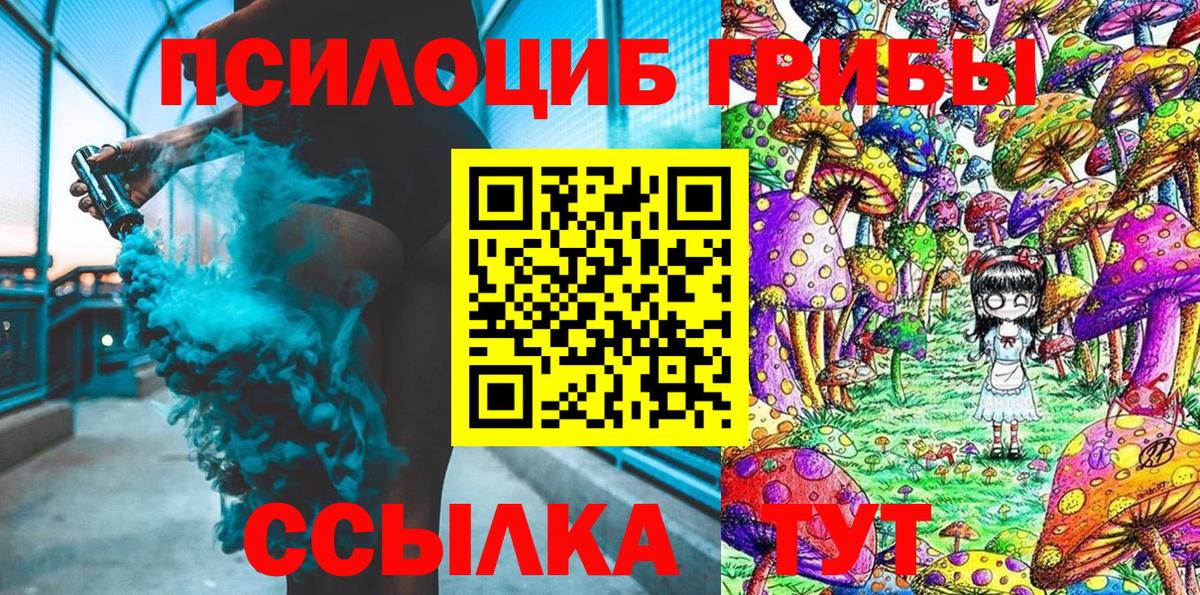 Галлюциногенные грибы Psilocybine cubensis Пугачёв