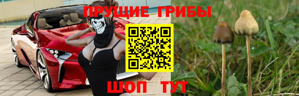 Галлюциногенные грибы ЛСД  Вход с VPN  Пугачёв  Галлюциногенные грибы Magic Shrooms 